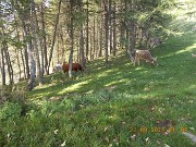 22 settembre 2018 - SASSO GORDONA, SUI SENTIERI DELLA GRANDE GUERRA - FOTOGALLERY